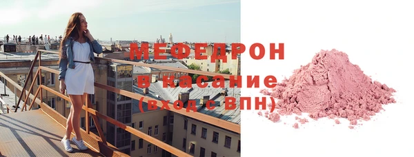 сатива Новозыбков