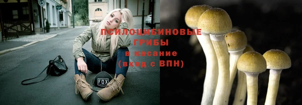 гидра Нязепетровск