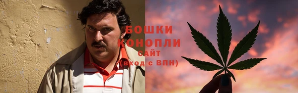 стаф Няндома